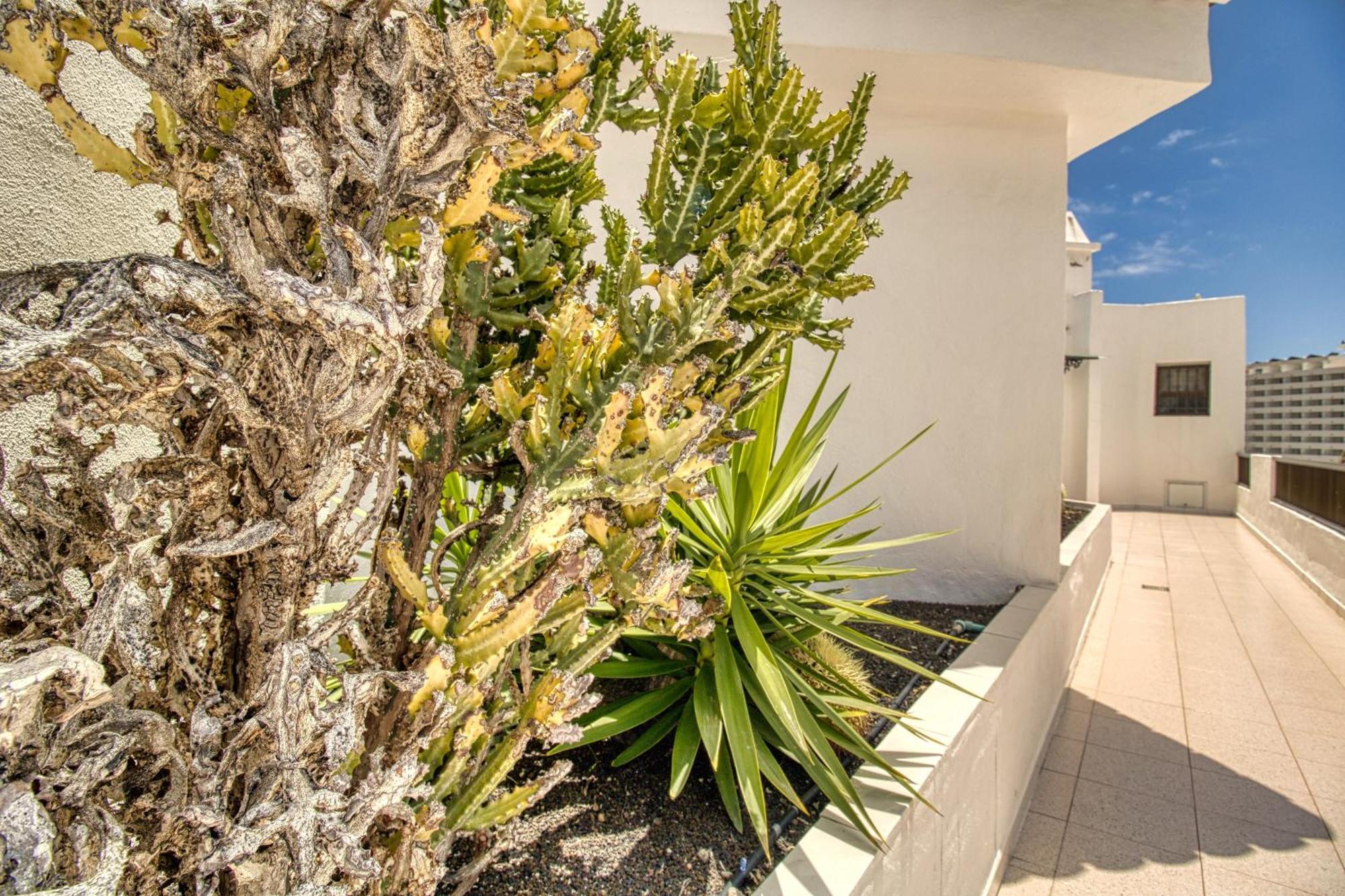 Apartmán Penthouse Sea View Jacuzzy Terrace & Pool Playa Feñabe Exteriér fotografie